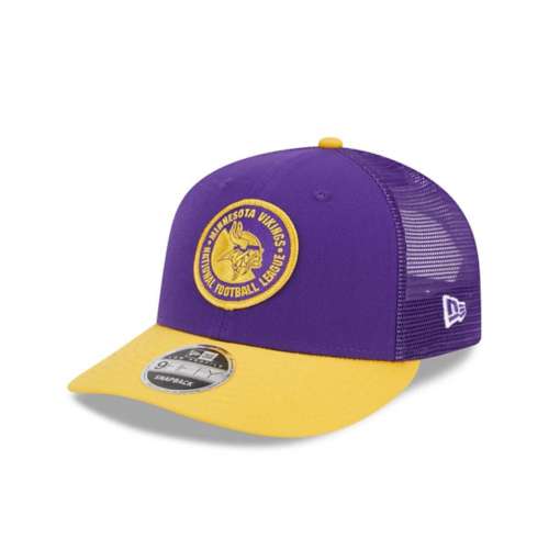 Men's Minnesota Vikings New Era White Omaha Low Profile