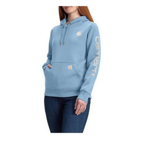 Women's Carhartt Clarksburg Graphic Sleeve Hoodie
