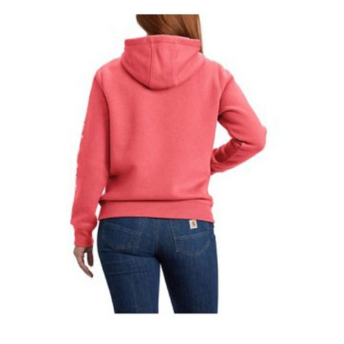 Women's Carhartt Clarksburg Graphic Sleeve Hoodie