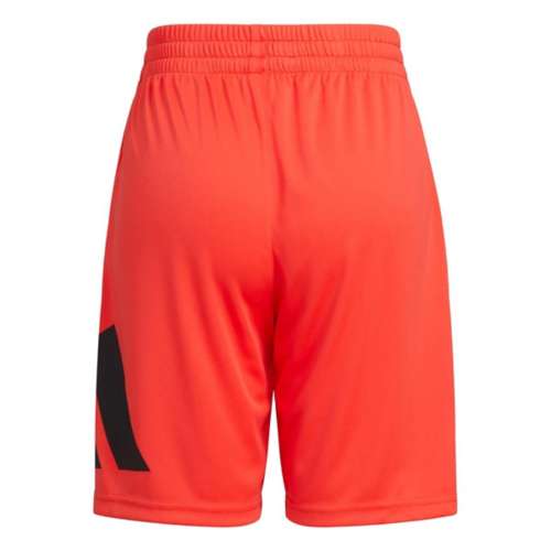 Nba discount shorts yupoo