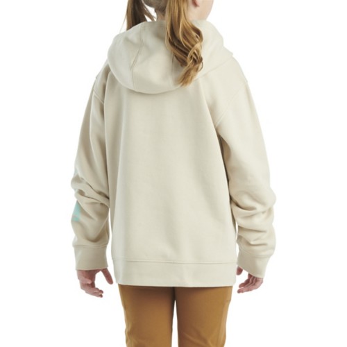 Girls' Carhartt Graphic I Hoodie - Primary Image