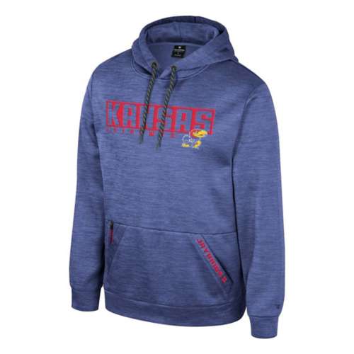 Hollister ombre logo online hoodie