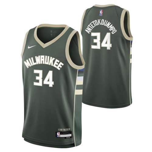 Nike NBA Milwaukee Bucks Icon Antetokounmpo #34 Jersey