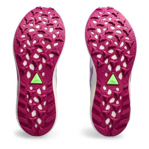 Women's Goretex ASICS Fuji Lite 4 Trail Running Shoes