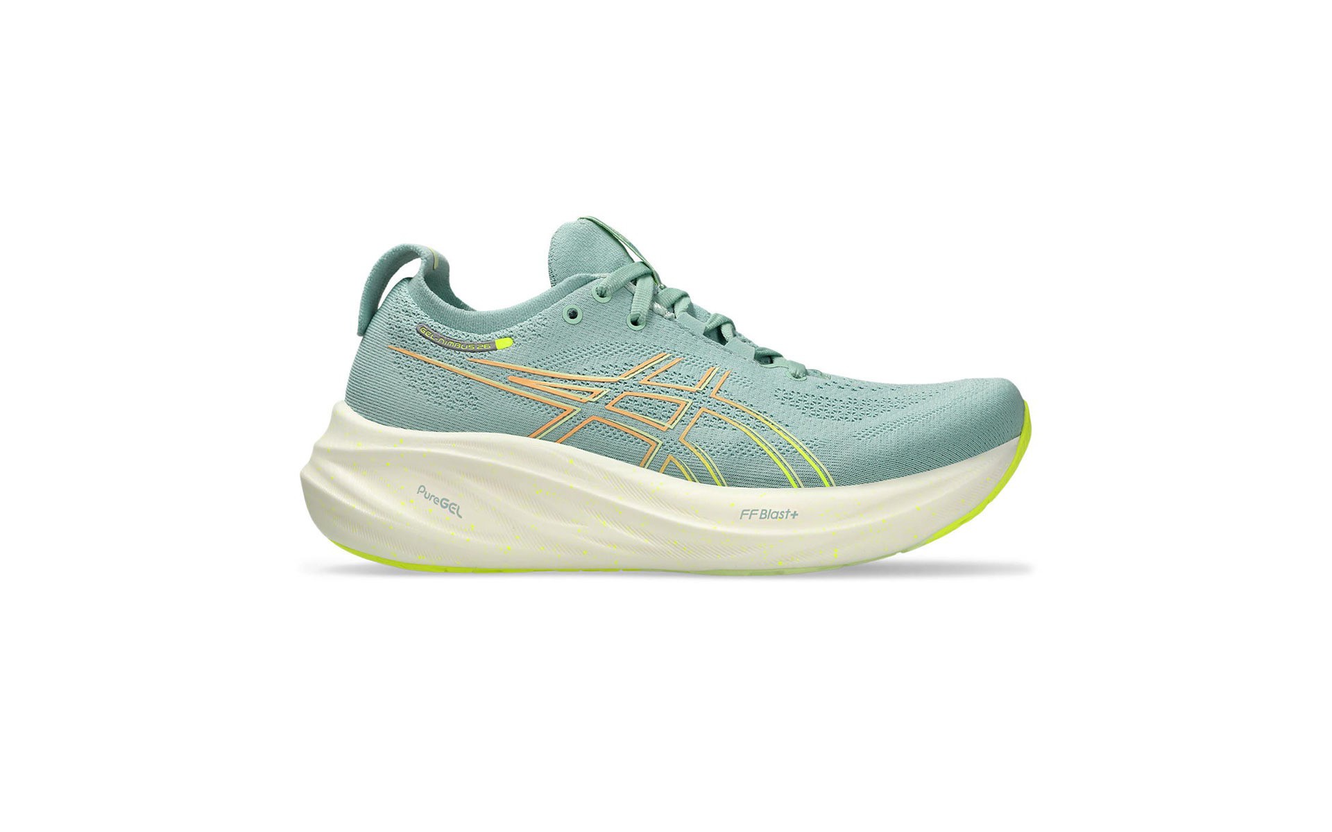 Scheels asics on sale