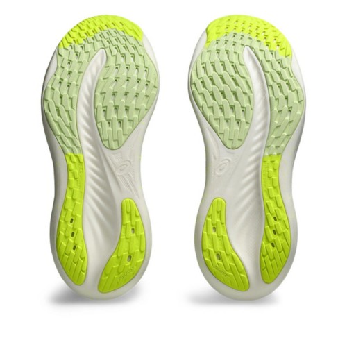 Scheels asics outlet
