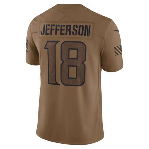 Nike Men's Detroit Lions 2023 Salute to Service Brown Long Sleeve T-Shirt