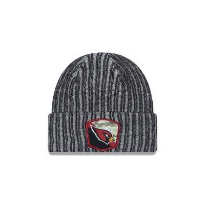 arizona cardinals salute to service cap