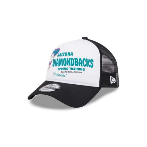 Diamondbacks spring 2024 training hat