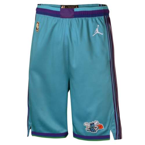 Nike Kids' Charlotte Hornets Hardwood Classic Shorts