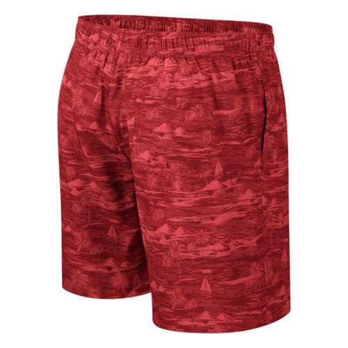Colosseum Iowa State Cyclones Ozark Volley Shorts