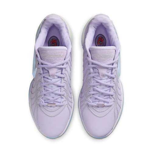Adult Nike cover Lebron XXI Basketball Shoes