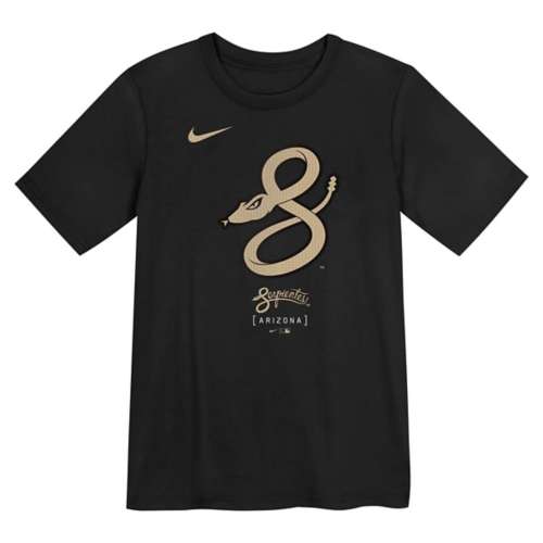 Nike Kids' Arizona Diamondbacks City Connect Legend Logo T-Shirt