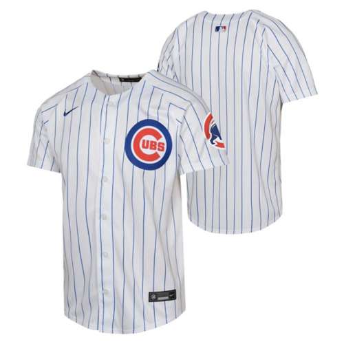 Nike Kids' Chicago Cubs Blank Element