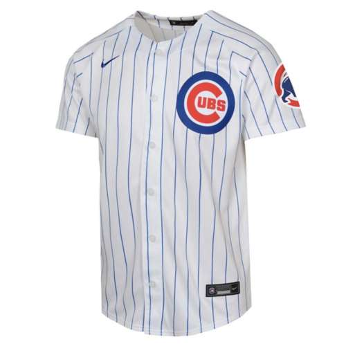 Nike Kids' Chicago Cubs Blank Element