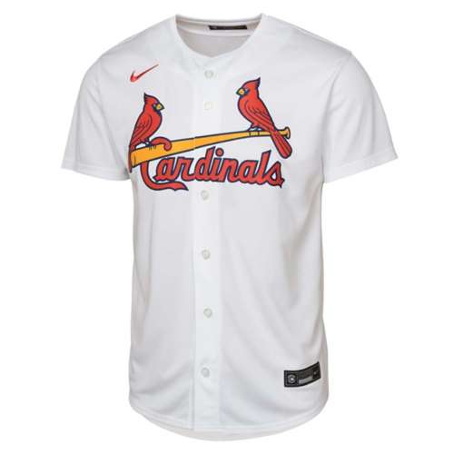Nike Kids' St. Louis Cardinals Blank Jersey