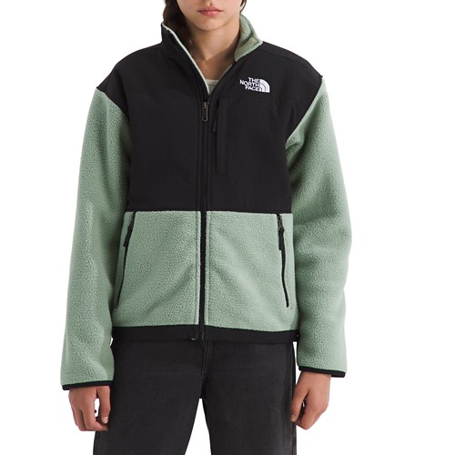 Kids' The North Face Denali Fleece Jacket - Primary Image