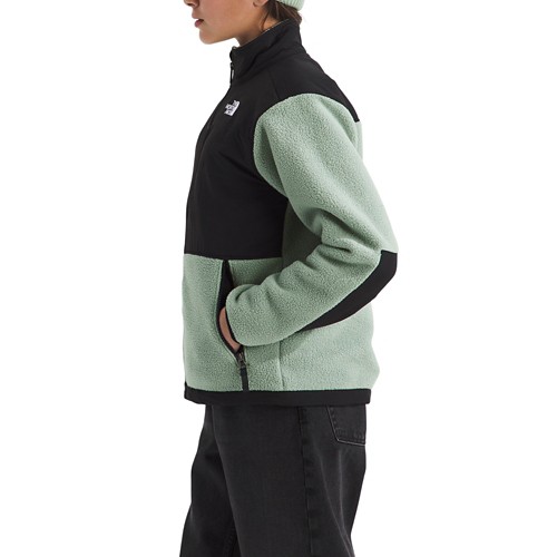 Kids' The North Face Denali Fleece Jacket - Primary Image
