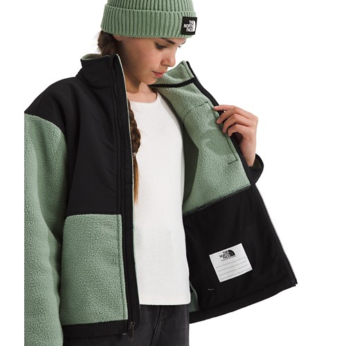 Kids' The North Face Denali Fleece Jacket - Primary Image