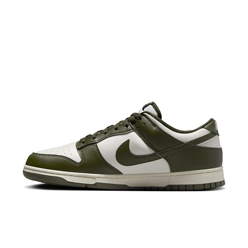 Adult Nike Dunk Low Retro Sneakers