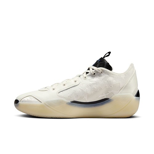 Adult Air Jordan XXXIX Basketball Shoes