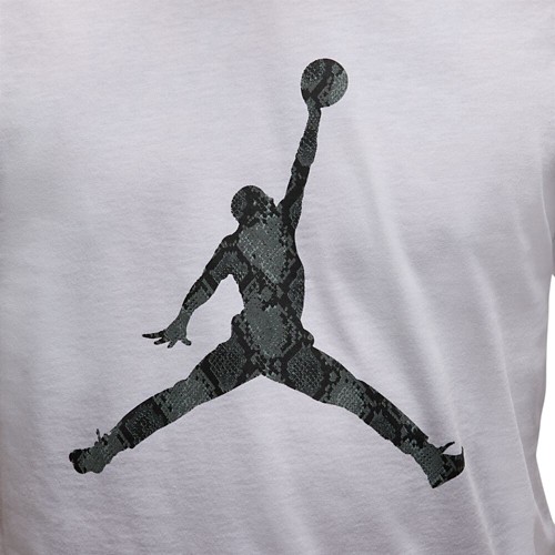 Men's Jordan Sport Dri-FIT Midweight T-Shirt