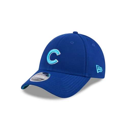 Cubs carhartt hat best sale