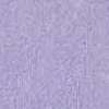 Pastel Lilac/Aster Purple/Violet Tulip