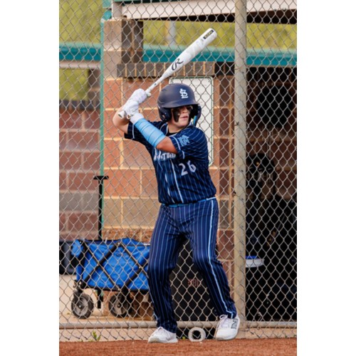 2025 Rawlings Icon (-10) USSSA Youth Baseball Bat