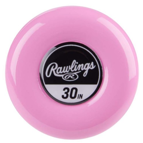 2025 Youth Rawlings Ombre Fastpitch Softball Bat - Primary Image