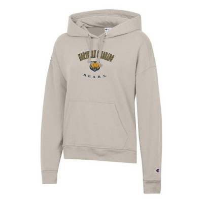 Ae reflective popover hoodie hot sale