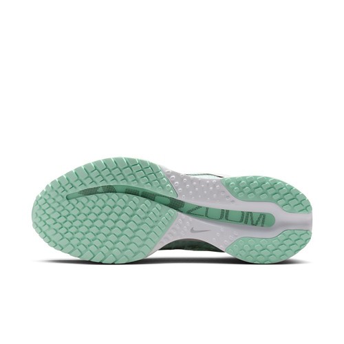 Women's Nike Pegasus Premium Running Shoes