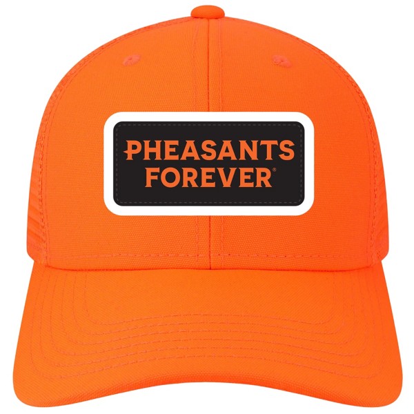 LEGACY Adult Pheasants Forever Patch Snapback Hat