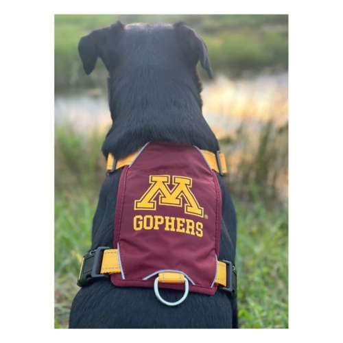 Bay Dog Minnesota Gophers Dog Harness