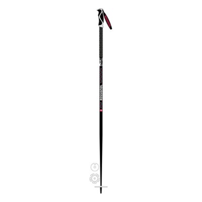 rossignol ski poles