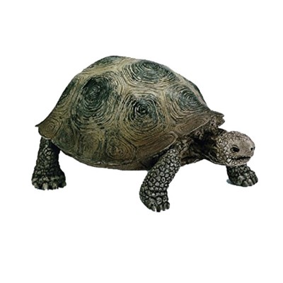 Schleich Giant Tortoise Figurine | SCHEELS.com