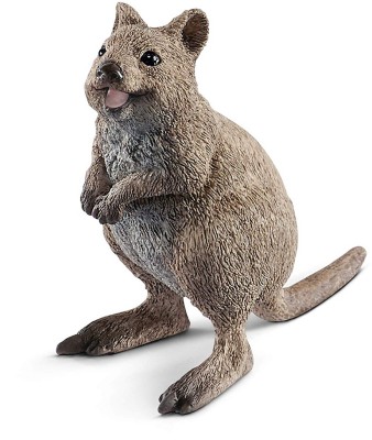 quokka doll