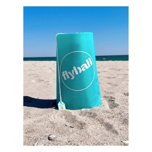Flyball Classic Game Set - Primary Image