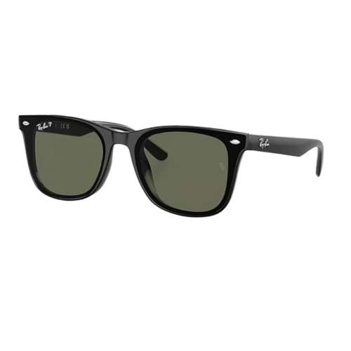 Ray-Ban RB4420 Polarized Sunglasses