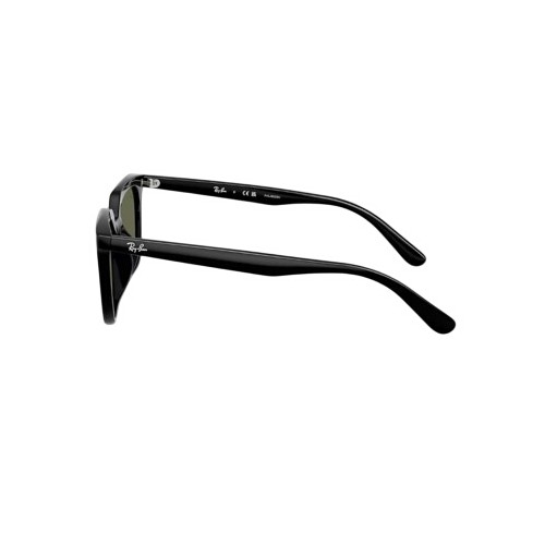 Ray-Ban RB4439D Sunglasses | SCHEELS.com