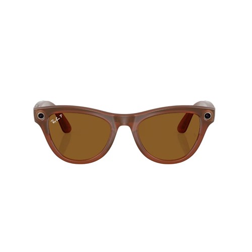 Ray-Ban Meta Skyler Sunglasses