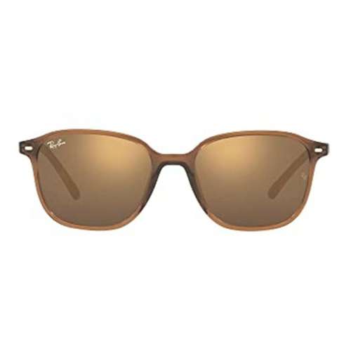 Ray-Ban Leonard Polarized Sunglasses