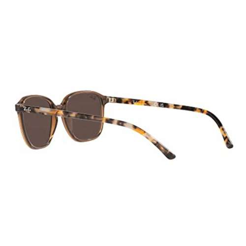 Ray-Ban Leonard Polarized Sunglasses
