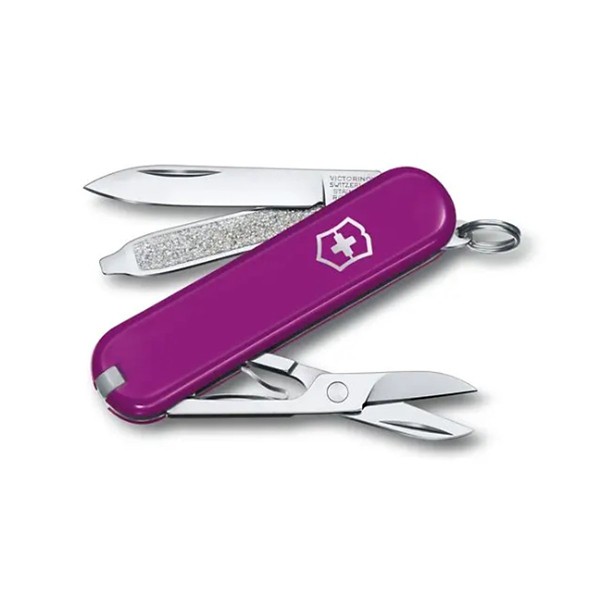 Swiss Army Classic SD Pocket Knife - Swiss Army