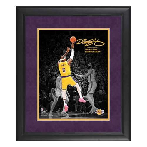 Fanatics Authentic Los Angeles Lakers Lebron James Photo Collage