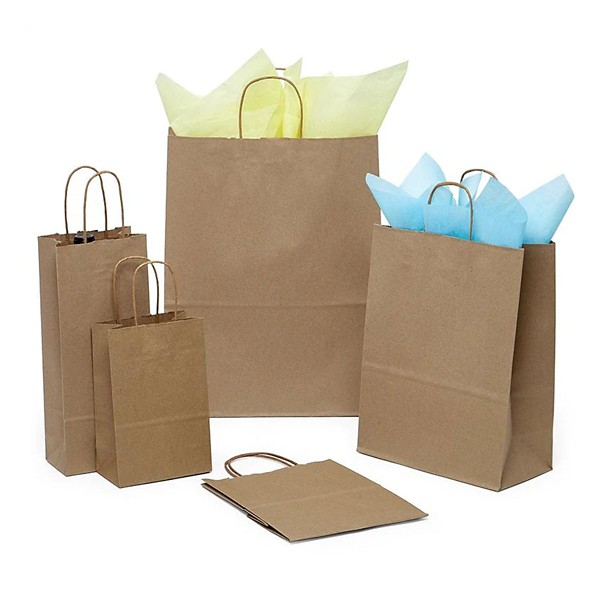 PaperMart Kraft Bag