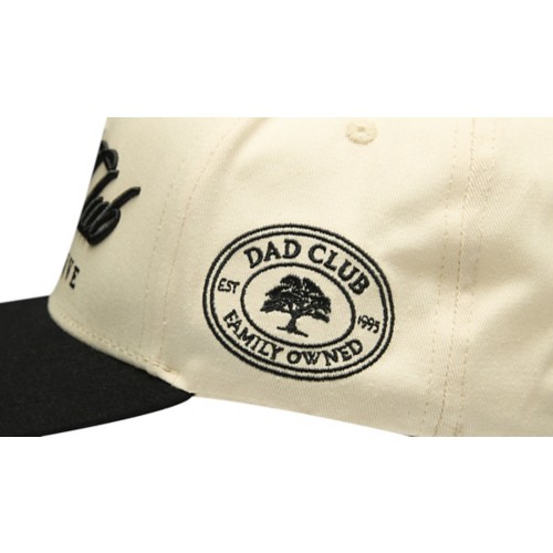 Men's Citrusy Dad Club Snapback Hat
