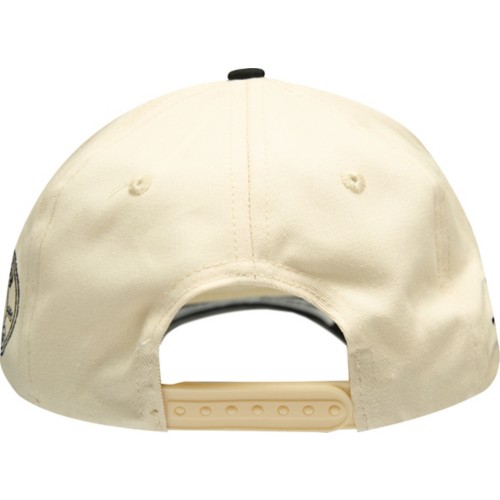 Men's Citrusy Dad Club Snapback Hat