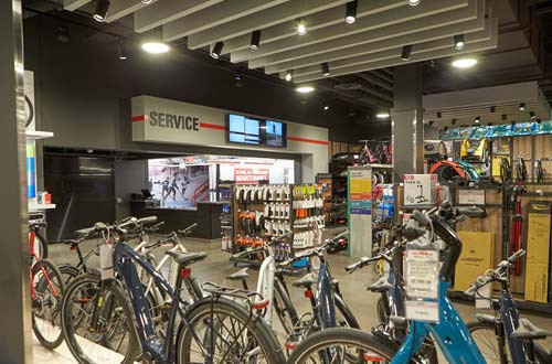 Scheels store mountain bikes