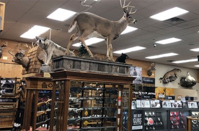 hunting equipment stores